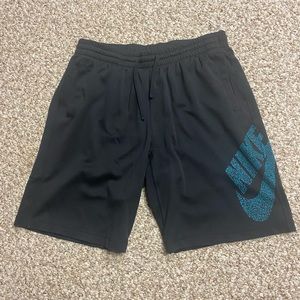 Nike SB Shorts